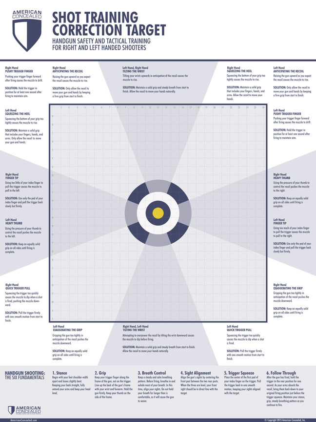 Shot Correction Targets